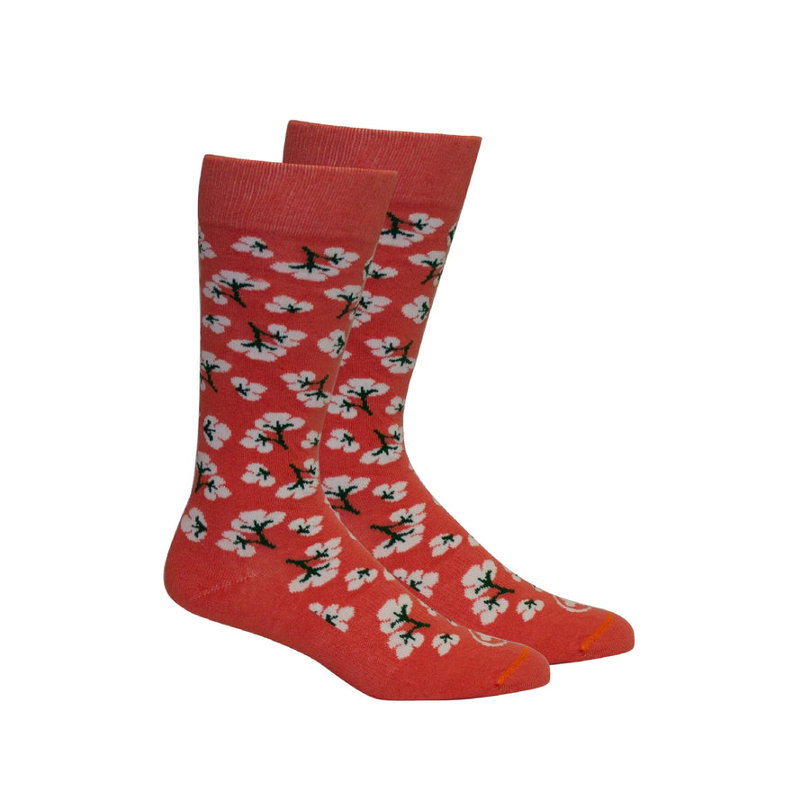 Brown Dog Crew Socks