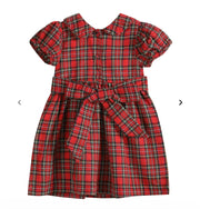 Lil Cactus Red Plaid Santa Dress